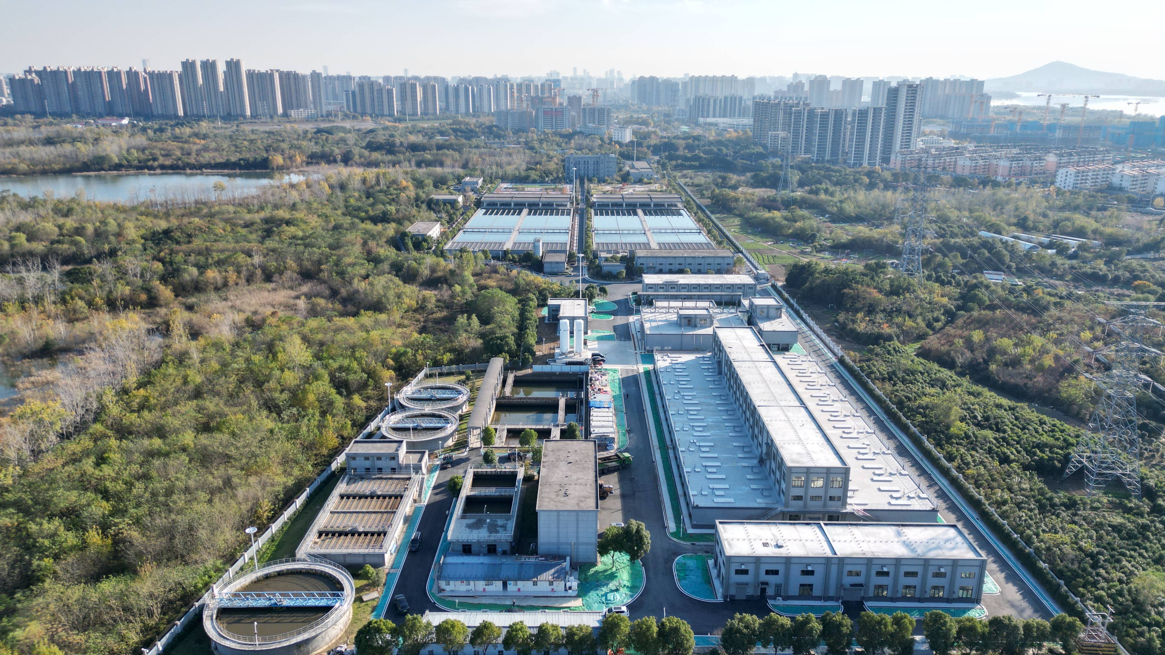 东莞市合肥专业企业价值增长(合肥市重点企业产业目录)