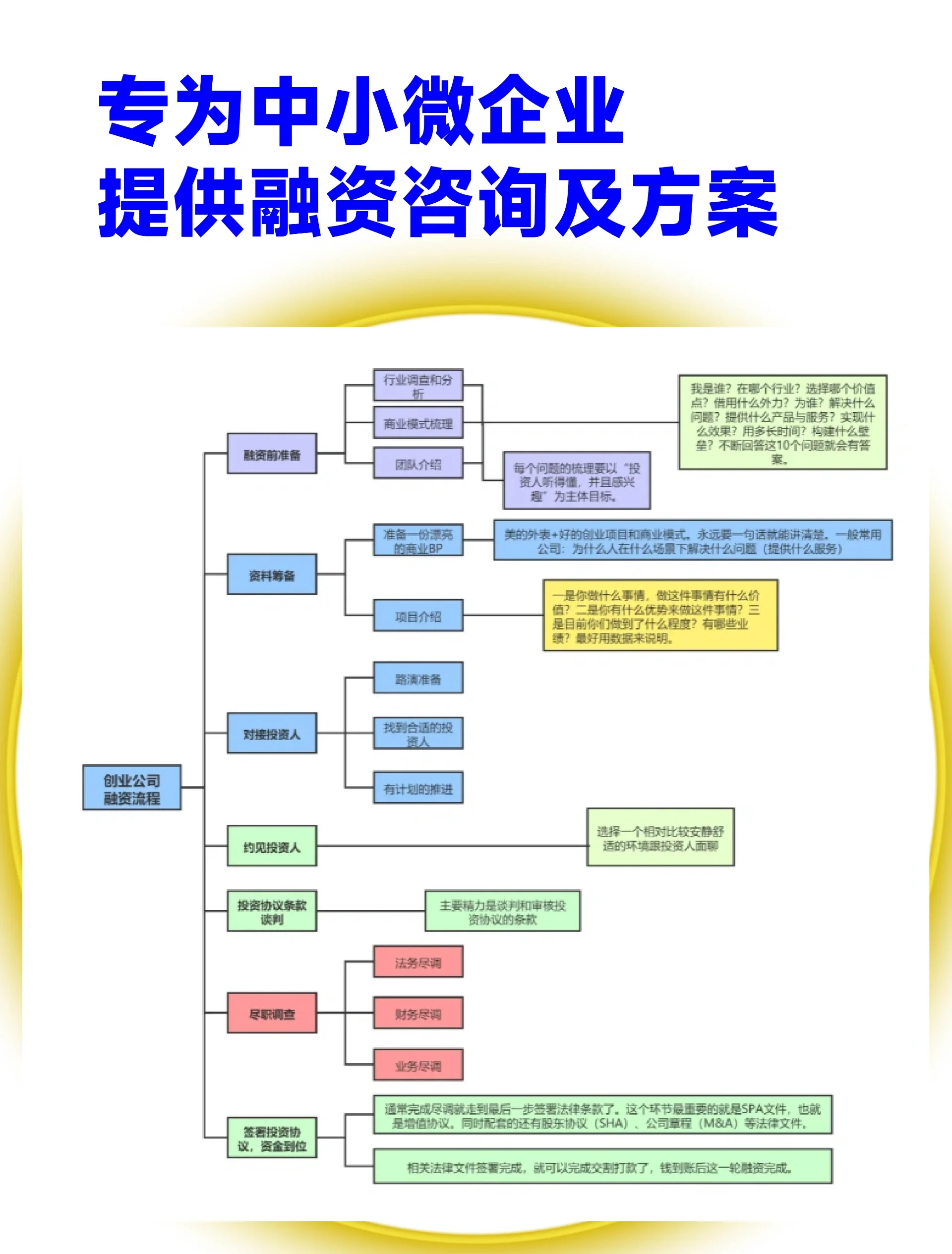 东莞市宠物企业资金管理(宠物管理机构叫什么)