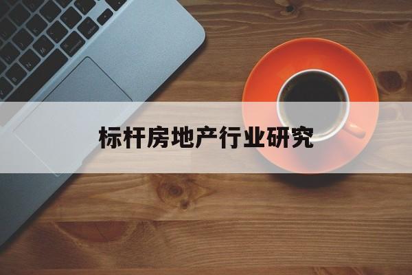东莞市标杆房地产行业研究(房地产领域的标杆人物)