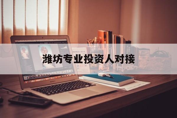 东莞市潍坊专业投资人对接(潍坊专业投资人对接中心)