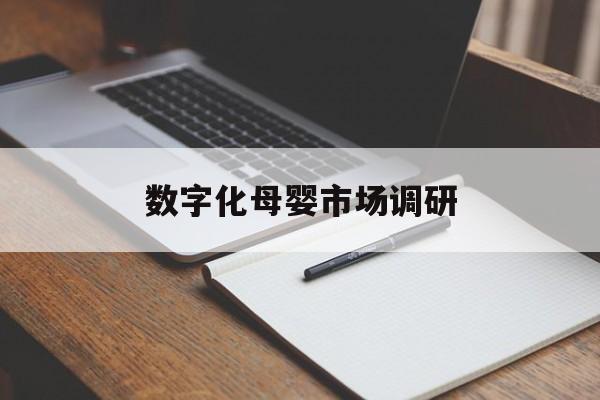 东莞市数字化母婴市场调研(数字化母婴市场调研报告)